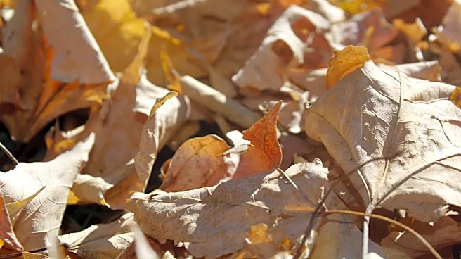 Virginia Faces Elevated Drought Risk Amid High Temperatures