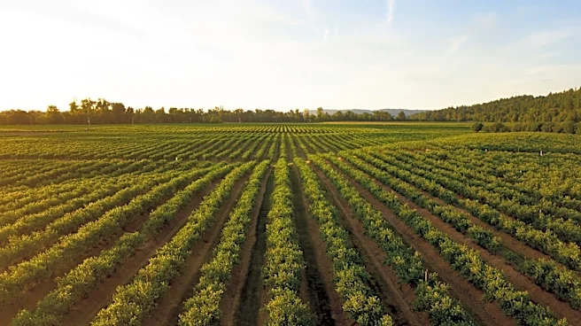 2026 Summer Weather Outlook Highlights Crop Challenges