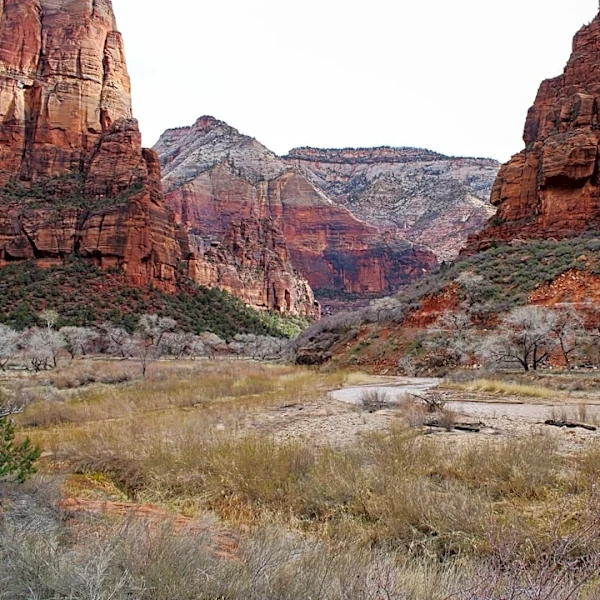 Flash Flood Warning Issued as Heavy Rainfall Hits Zion National Park