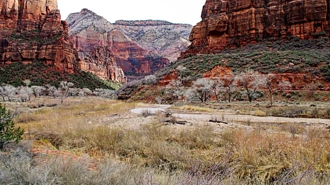 Flash Flood Warning Issued as Heavy Rainfall Hits Zion National Park