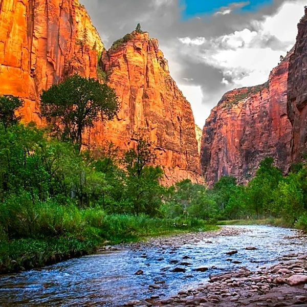 Flash Floods Trigger Muddy Waterfall in Zion National Park