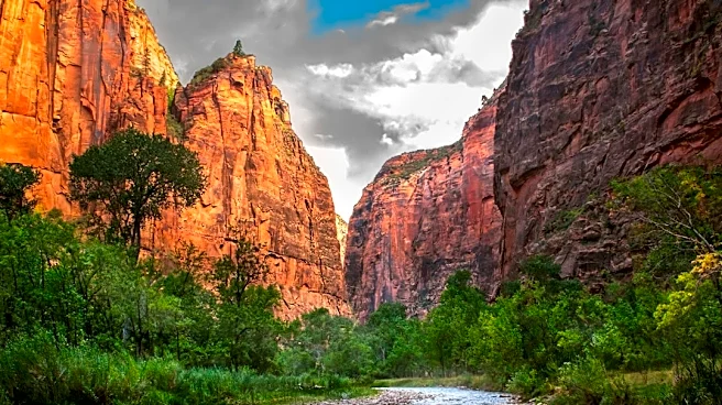 Flash Floods Trigger Muddy Waterfall in Zion National Park