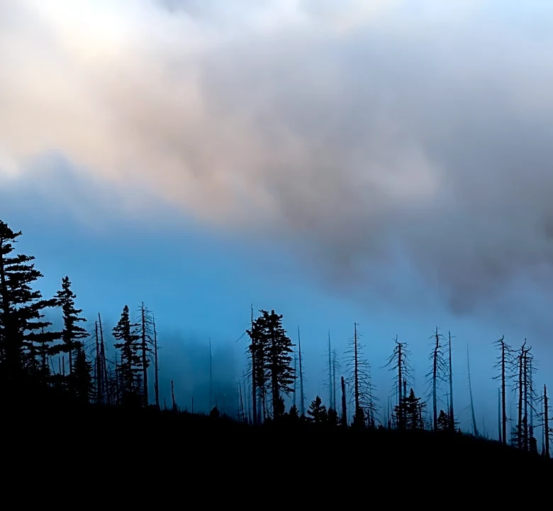 Pacific Northwest Sees Relief from Wildfire Threat Amid 'Snaptember'