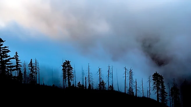 Pacific Northwest Sees Relief from Wildfire Threat Amid 'Snaptember'