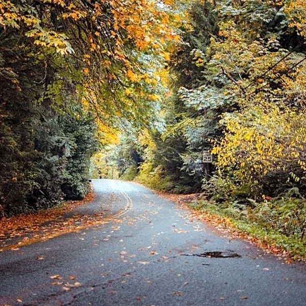 Fall Storms Bring Rain Relief to Fire-Ravaged Northwest
