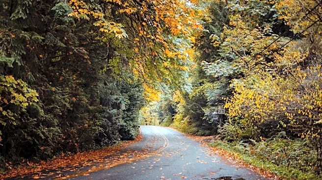 Fall Storms Bring Rain Relief to Fire-Ravaged Northwest
