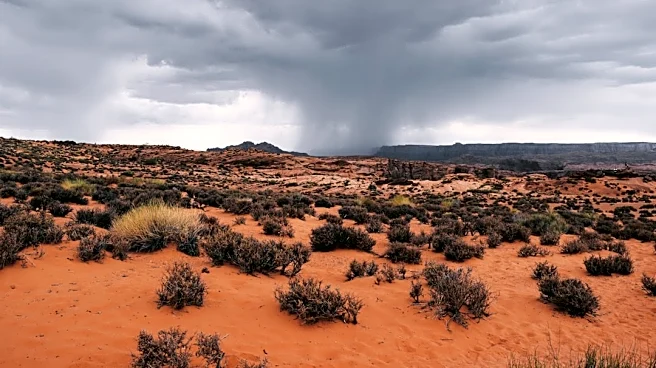 Hurricane Marie Brings Rain and Flash Flood Risks to Arizona