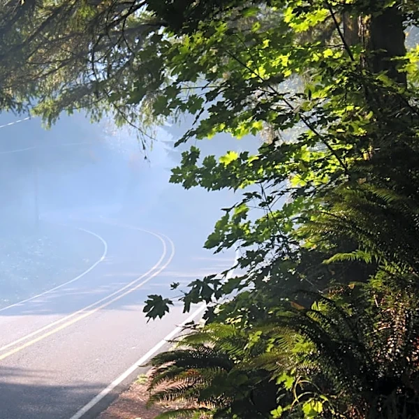Pacific Northwest Faces Increased Wildfire Risks in Roadless Areas