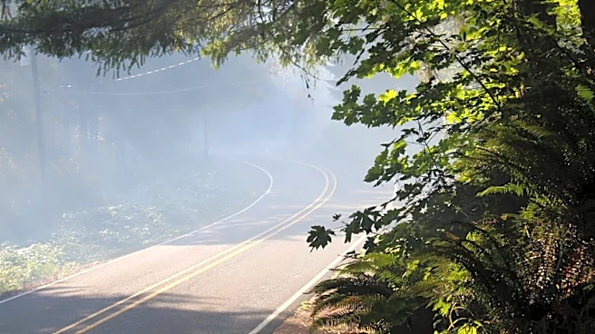 Pacific Northwest Faces Increased Wildfire Risks in Roadless Areas