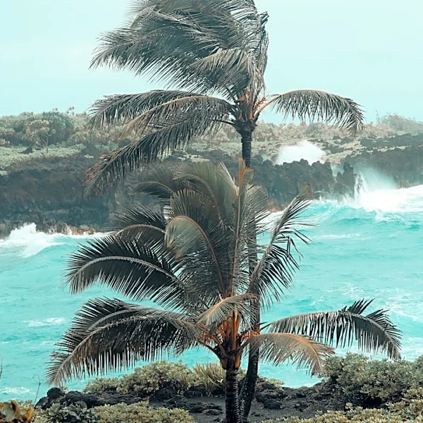 Hurricane Lowell Intensifies to Category 5 Near Hawaii