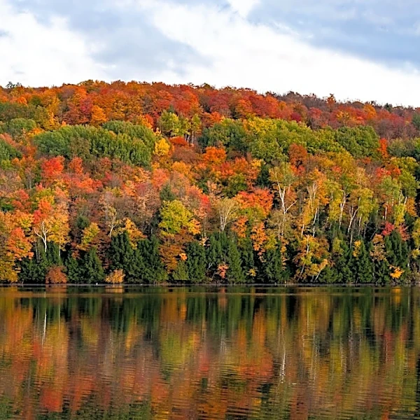 US Fall Foliage Forecast 2026: Vibrant Colors Expected in New England and New York
