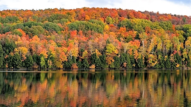 US Fall Foliage Forecast 2026: Vibrant Colors Expected in New England and New York