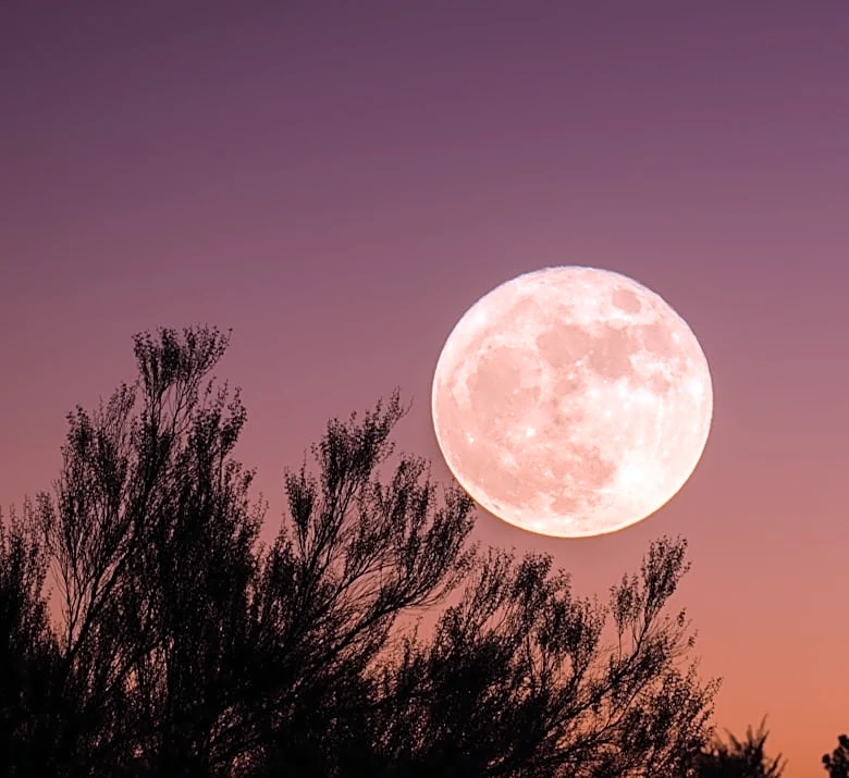 Understanding the September Night Sky: Venus, the Harvest Moon, and More