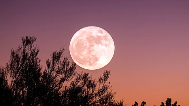Understanding the September Night Sky: Venus, the Harvest Moon, and More