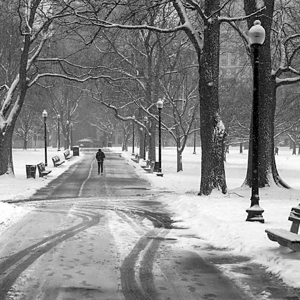 Understanding the Farmer's Almanac Winter Forecast