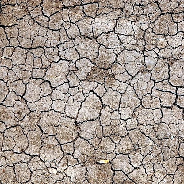 Extreme Weather Patterns Mark a Challenging Year Across the U.S.