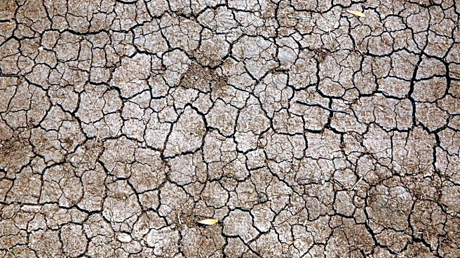 Extreme Weather Patterns Mark a Challenging Year Across the U.S.