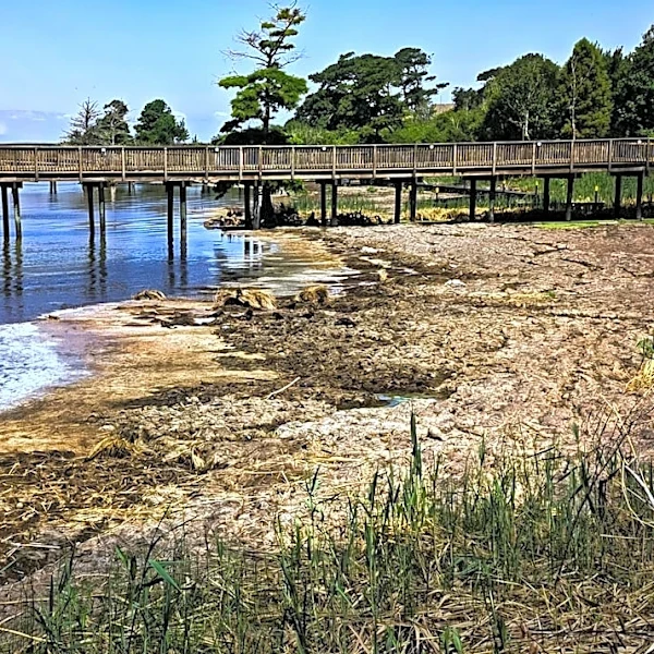 Exceptional Drought Returns to Parts of North Carolina