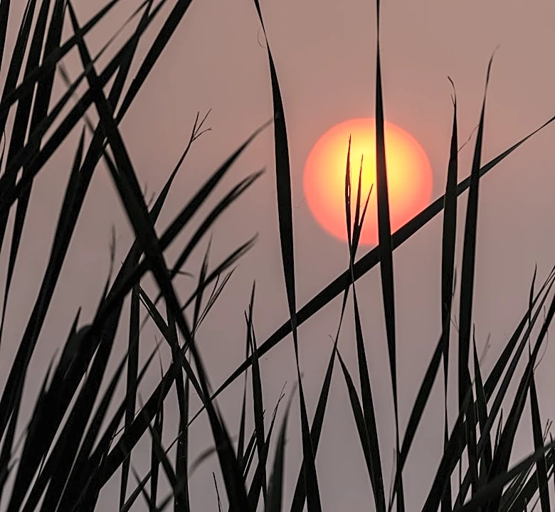 Extreme Heat Wave Grips Midwest and Southern U.S.