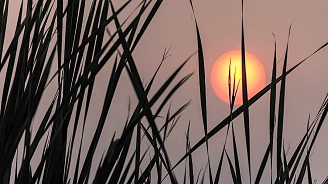 Extreme Heat Wave Grips Midwest and Southern U.S.