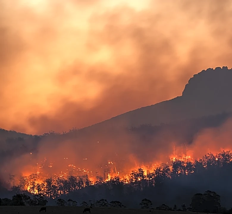 Wildfire Smoke Impacts Air Quality Across U.S.