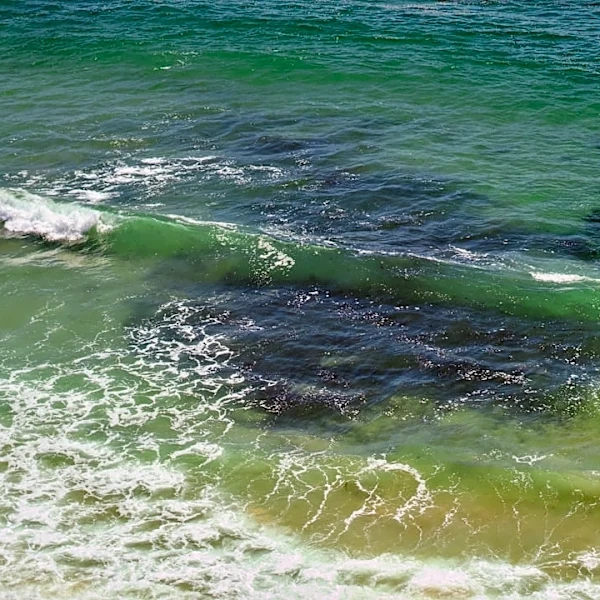 Coastal Flood Advisory Issued for Orange and San Diego Counties