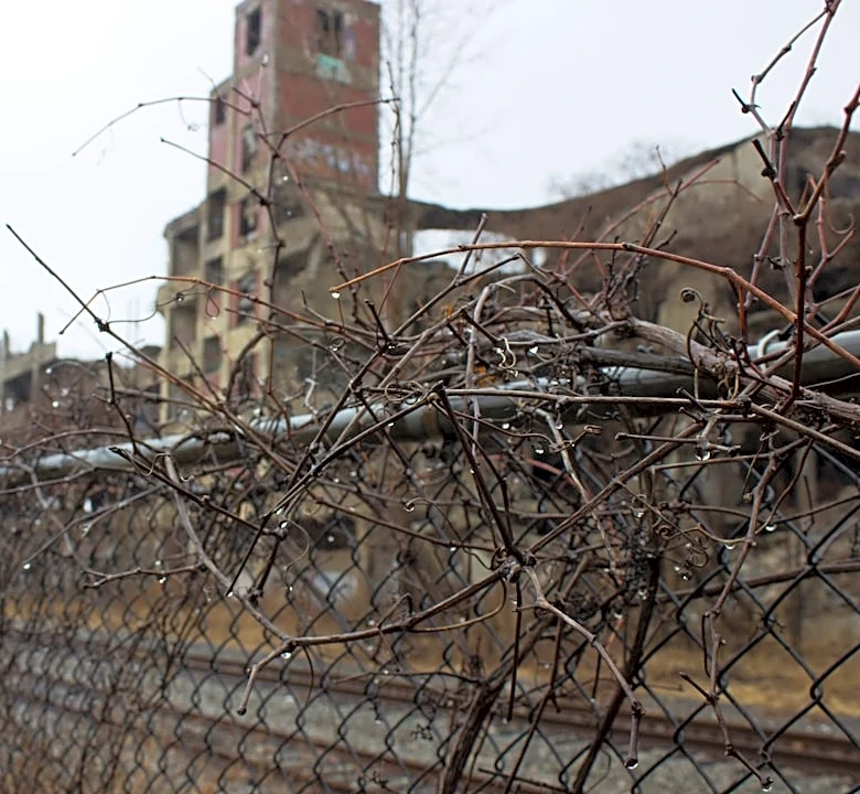 Severe Storm Causes Widespread Damage in Detroit, Michigan