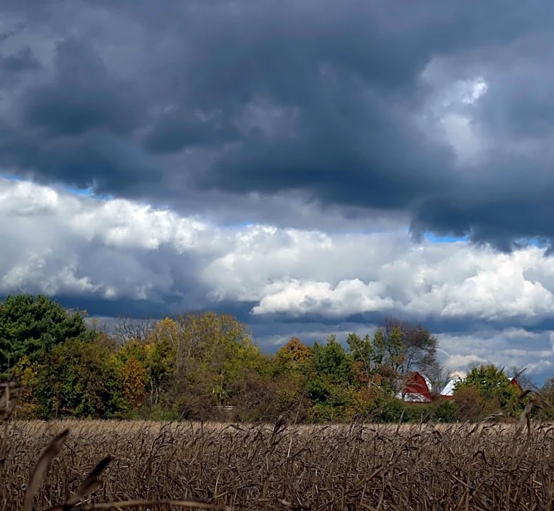 Strong Storms Expected in Southeast Michigan Before Weekend Clearing