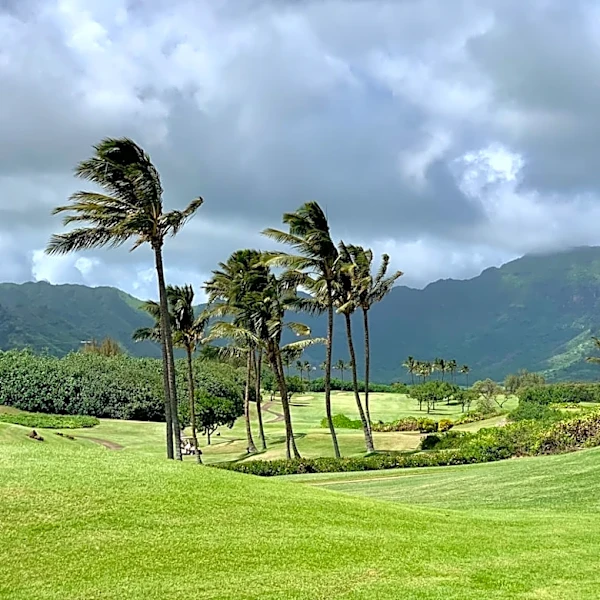 Hurricane Lowell Approaches Hawaii, Potential Impact on Kauai