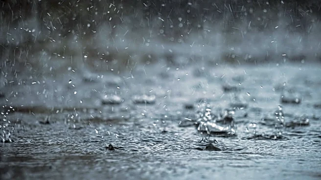 El Niño Brings Wetter Conditions to U.S. Agricultural Regions