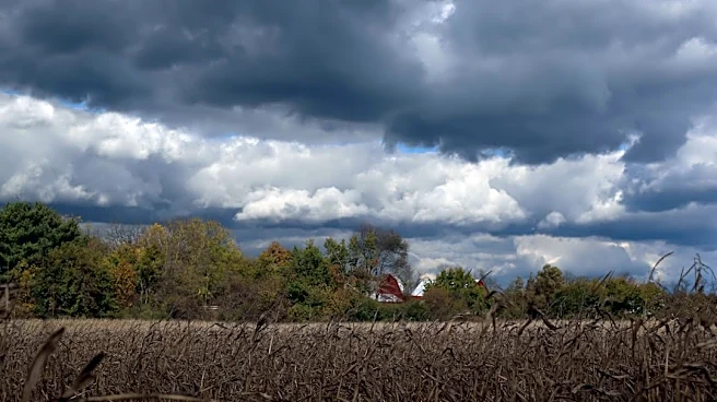 Strong storms expected in southeast Michigan, clearing by weekend