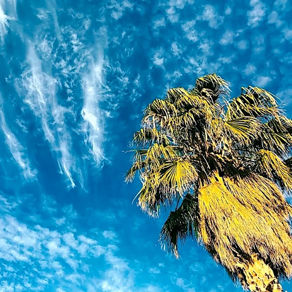 Partly Cloudy Skies with Warm Temperatures in El Paso, TX