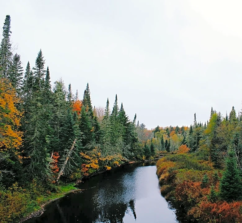 Fall Foliage Tracking: Tools and Tips for Peak Viewing in the U.S.
