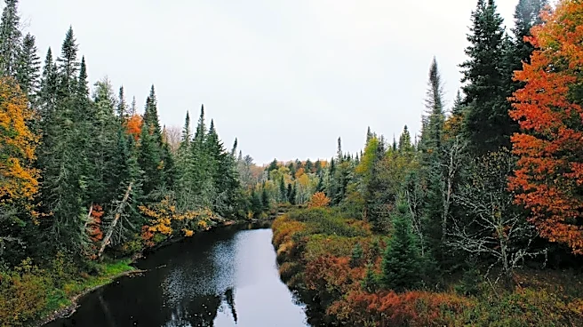 Fall Foliage Tracking: Tools and Tips for Peak Viewing in the U.S.