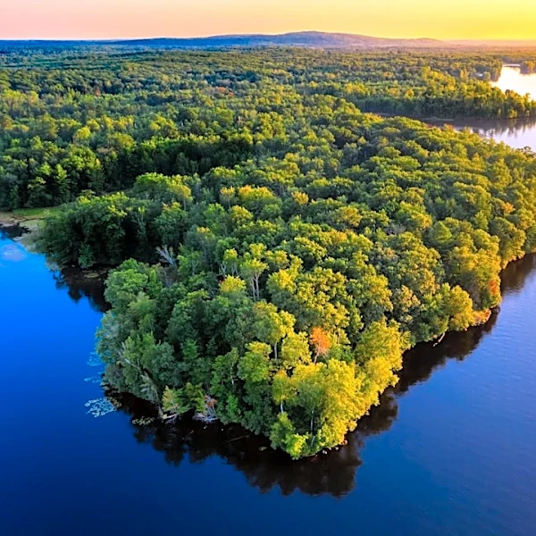 Wisconsin Forest Study Reveals Impact of Elevated CO₂ and Ozone on Productivity