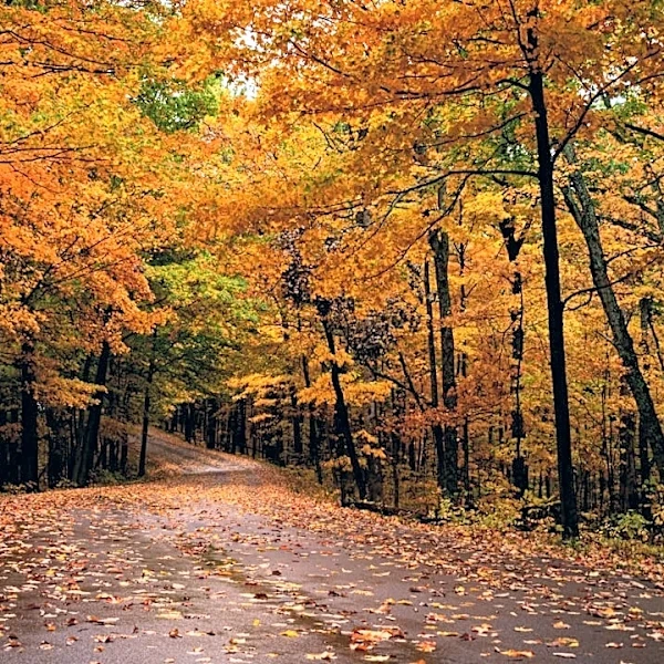 Where to Find the Best Fall Foliage in the USA