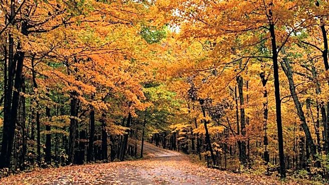 Where to Find the Best Fall Foliage in the USA