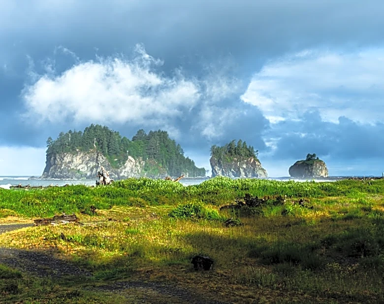 Scattered Downpours and Thunderstorms Expected in Pacific Northwest