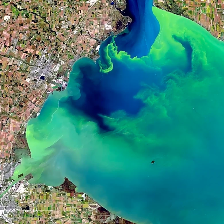 Study Highlights Long-Term Impact of Nutrient Pollution on U.S. Waterways