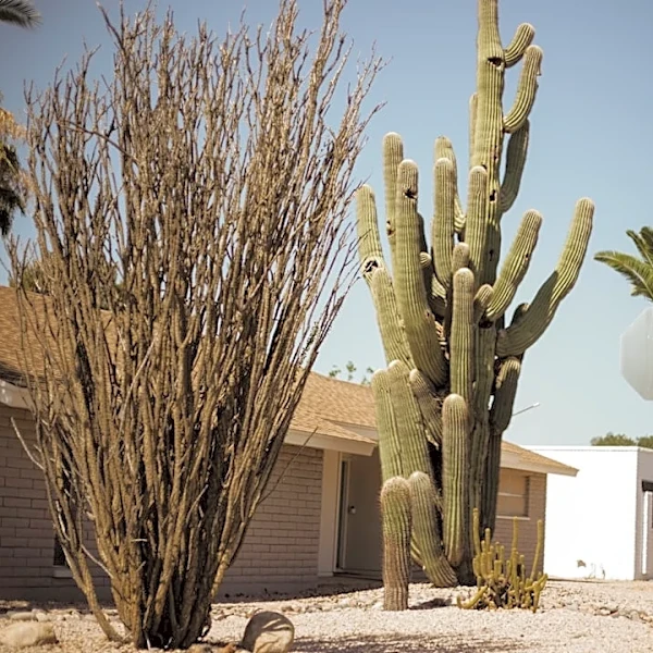 Extreme Heat Poses Deadly Risks for Manufactured Home Residents in Arizona