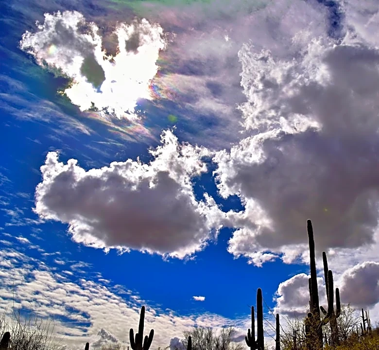 Seasonal 90s Persist in Tucson with Increasing Storm Chances