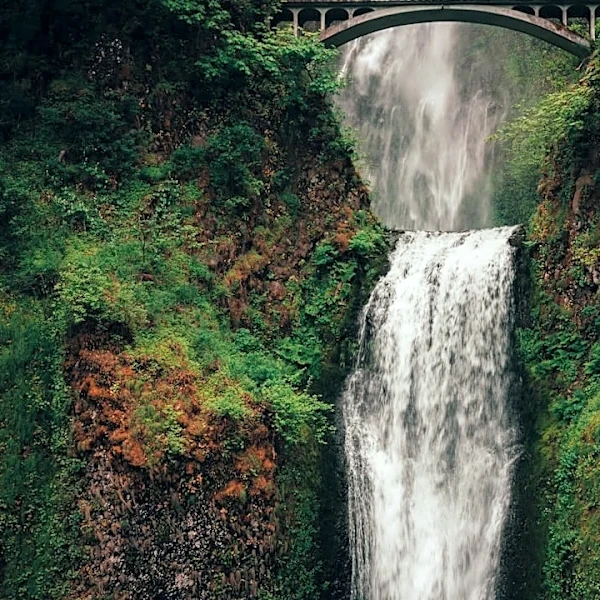 Oregon Prepares for Heavy Rain with Stormwater Maintenance