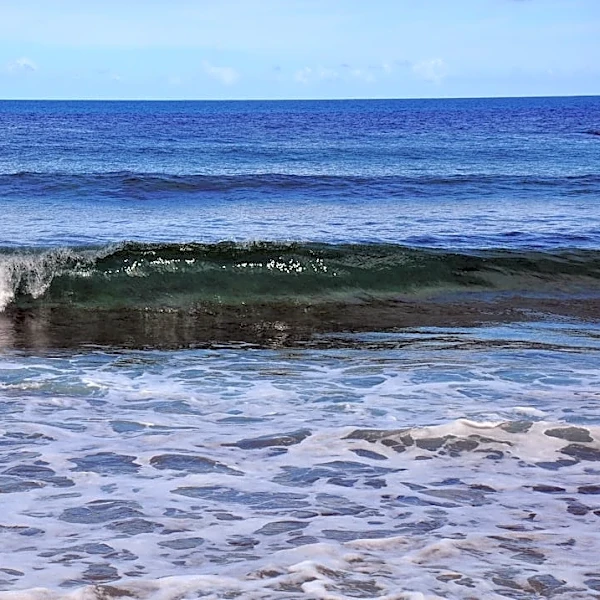 Bay Area Sea Levels to Rise Nearly 1 Foot Due to Kelvin Wave