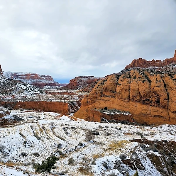 Study Links Climate Change to Record Warm Winter in Western U.S.