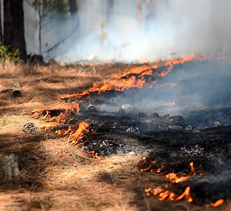 Thick Smoke Observed West of Sault Ste. Marie, Michigan Due to Prescribed Burns