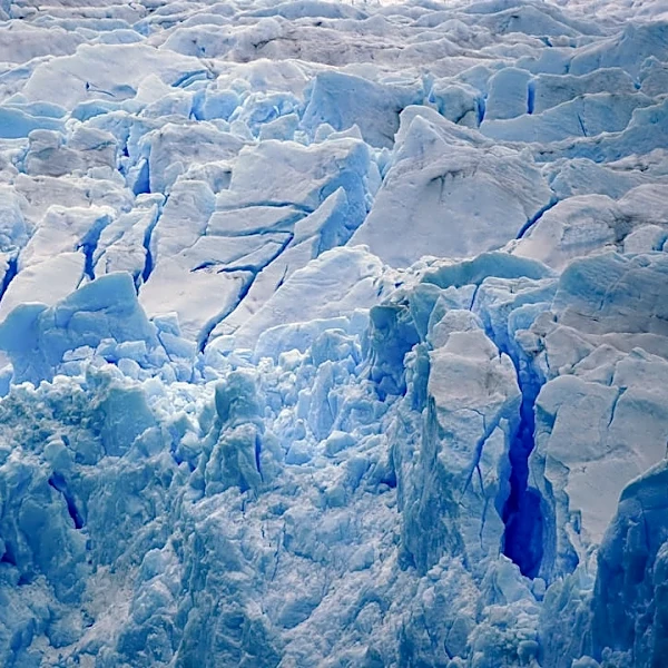 Understanding El Niño: Effects and Impacts