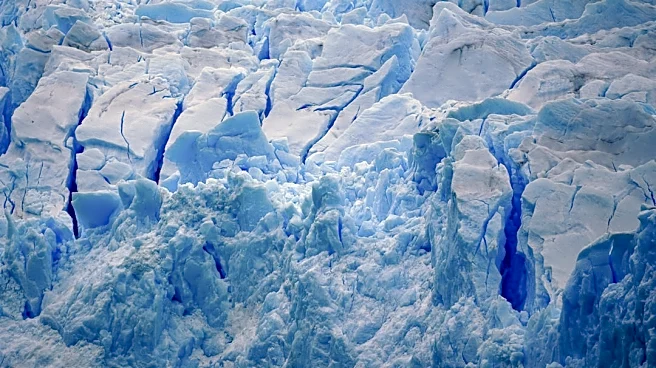 Understanding El Niño: Effects and Impacts