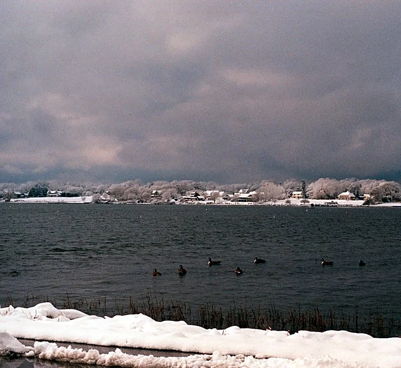 Farmer's Almanac Predicts 'Complicated' Winter for Cape Cod and New England
