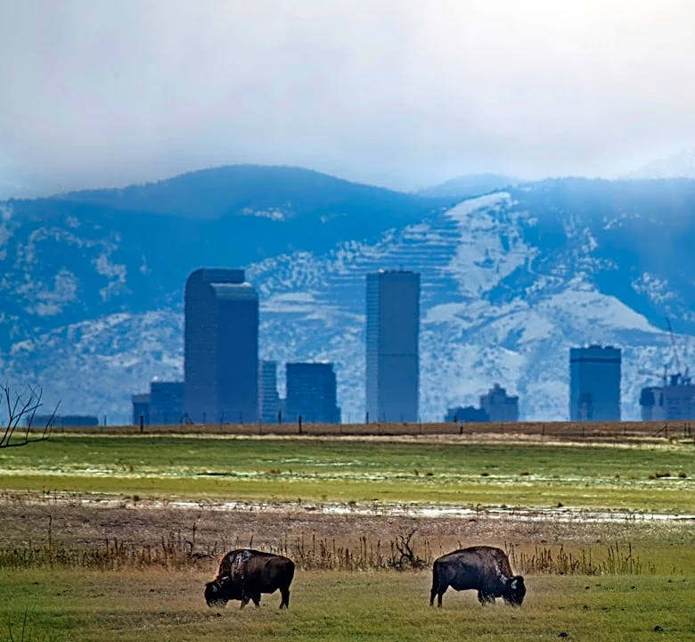 Isolated Storms Expected in Denver Metro Area, Brief Cooldown Midweek
