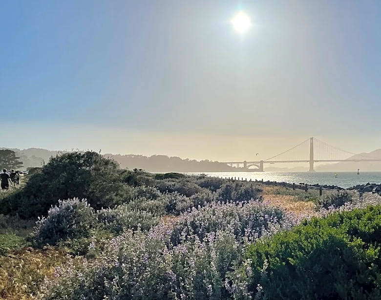 Northern California to See Heat Wave with Highs Near 100°F